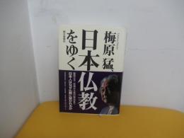 梅原猛、日本仏教をゆく