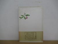 尼僧冥利に尽きて候