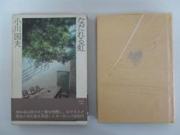 全紀行1　なだれる虹