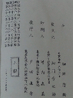 NEW LANGUAGE LESSONS