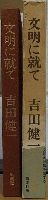 文明に就て