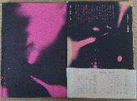 珍訳聖書