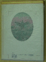 鳥の歳時記(全5巻) 第1巻 春の鳥