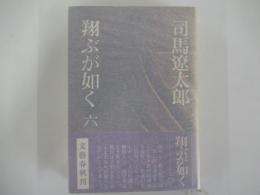 翔ぶが如く(6)