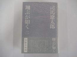 翔ぶが如く(2)