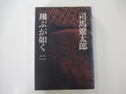 翔ぶが如く　二