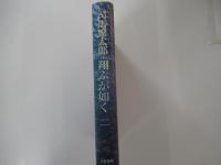 翔ぶが如く　二