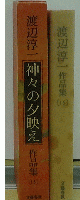 渡辺淳一作品集　神々の夕映え　15巻