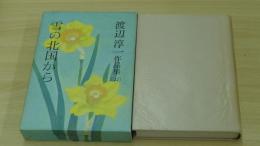 渡辺淳一作品集　雪の北国から　22巻