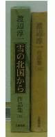 渡辺淳一作品集　雪の北国から　22巻