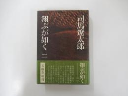 翔ぶが如く2