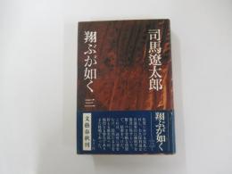 翔ぶが如く3