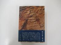 翔ぶが如く3