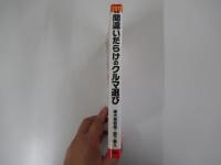 間違いだらけのクルマ選び：2011年版