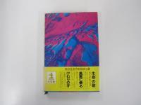 雪崩れる　長編スキー小説