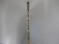 数は生きている