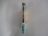 五百万ドルの迷宮