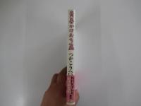 青春かけおち篇