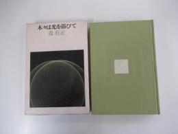 木々は光を浴びて