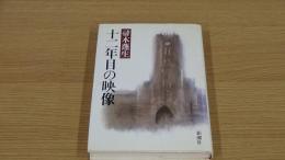 十二年目の映像