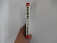 邪馬台国99の謎　どこに在り、なぜ消えたのか