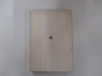 聖書の考古学　ノアの箱舟とバベルの塔 ＜人間と文明の発見シリーズ＞