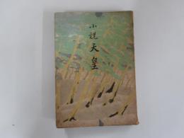 小説 天皇