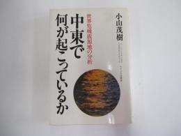 中東で何が起こっているか　世界危機震源地の分析