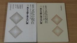 叢書文化の現在(全13冊・第3回配本) 3 見える家と見えない家
