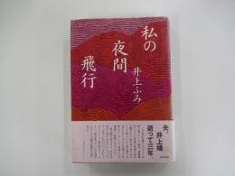 私の夜間飛行