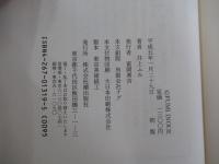 私の夜間飛行