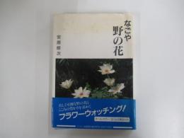 なごや野の花