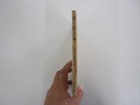 進化論　唯物論全書 3 