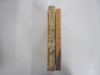 新々訳源氏物語