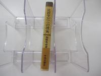比較文化への視角　＜中央叢書＞