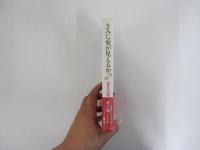 きみに愛が見えるか　盲目の歌手の青春記