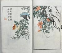 芥子園[レイ]毛花果譜