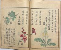 名数画譜　天地人付録　揃4冊