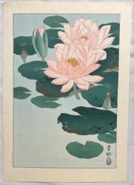 小原古邨木版画　【蓮】