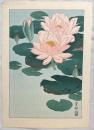 小原古邨木版画　【蓮】