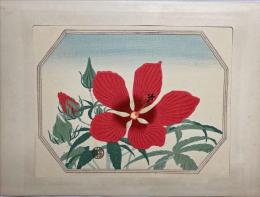 徳力富吉郎木版画　【紅蜀葵】花五十題の内