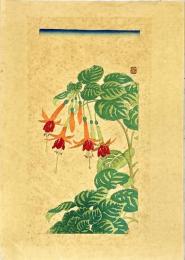 徳力富吉郎木版画　つりうき草：花尽の内