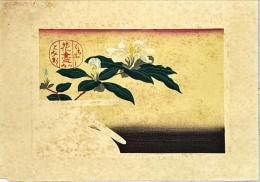 徳力富吉郎木版画　くちなし：花尽の内