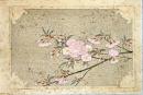 徳力富吉郎木版画　さくら：花尽の内