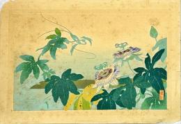 徳力富吉郎木版画　花の図