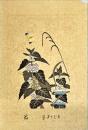 亀井藤兵衛木版画　をどり子草：花尽の内
