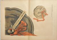 國華餘芳　伊勢内外神寶部　正倉院御物2冊　古書之部２冊　揃５冊