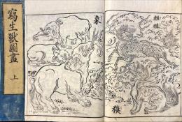 写生獣図画　上・下