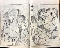 写生獣図画　上・下