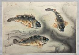 大野麦風木版画　【カサゴ】大日本魚類画集